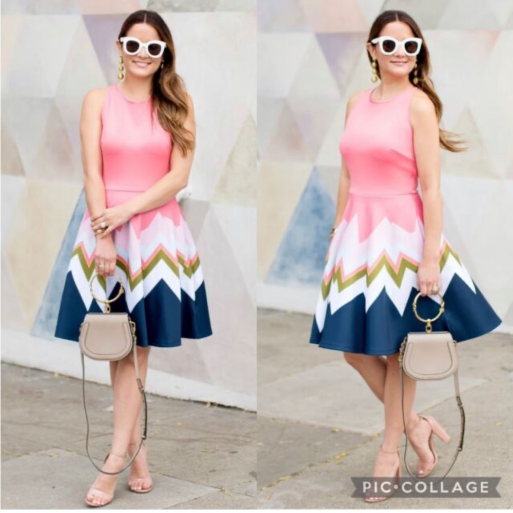 Ted Baker Aurella Mississippi Pink Chevron Skater Dress